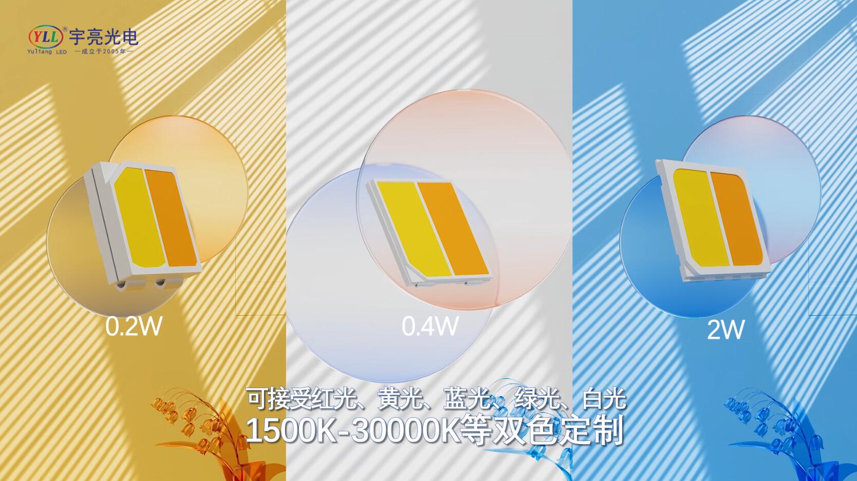 2双色.jpg
