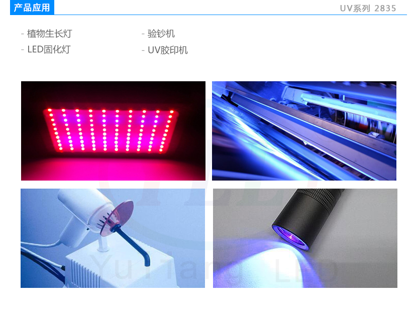 2835紫光灯珠应用领域:LED植物生长灯,验钞机,LED固化灯,UV胶印机